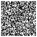 QR code with Steiner Liners contacts
