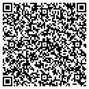 QR code with Public Storage contacts