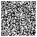 QR code with Maaco contacts