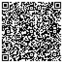 QR code with Protube Frameworks contacts