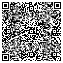 QR code with Precise Grading LLC contacts
