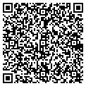 QR code with Zlest contacts