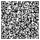 QR code with Public Works contacts