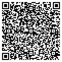 QR code with Maaco contacts