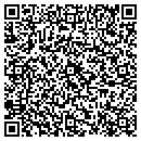 QR code with Precision Security contacts