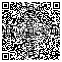 QR code with Maaco contacts