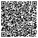 QR code with Allvac contacts