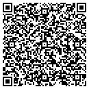 QR code with Public Works Shop contacts