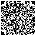 QR code with Maaco contacts