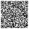 QR code with Maaco contacts