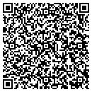QR code with Premier Motorsports contacts