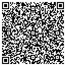 QR code with Prm Security contacts