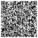 QR code with Pvvs Inc contacts