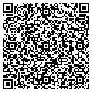 QR code with Public Works contacts