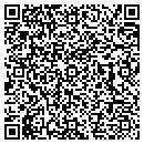 QR code with Public Works contacts