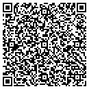 QR code with Blitz Networking Inc contacts