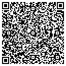 QR code with Public Works contacts