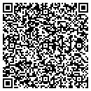 QR code with Blue Ribbon Limousine contacts