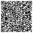 QR code with Team Valor LLC contacts