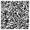 QR code with Golimo contacts