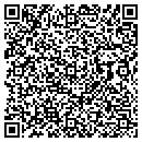 QR code with Public Works contacts