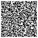 QR code with Cyber Computer Services contacts