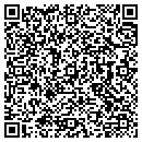 QR code with Public Works contacts
