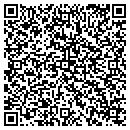 QR code with Public Works contacts