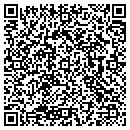 QR code with Public Works contacts