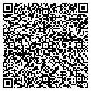QR code with Professional Invgts contacts