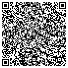 QR code with Blink Messenger Inc contacts