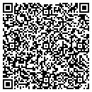 QR code with Cdm Consulting Inc contacts