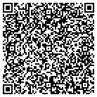 QR code with Cipher Systems L L C contacts