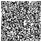 QR code with Cinergi Interactive LLC contacts