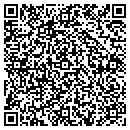 QR code with Pristine Windows Inc contacts
