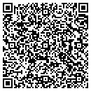 QR code with Public Works contacts