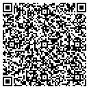 QR code with Constantine Janus LLC contacts