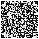 QR code with C W B Carpentry LLC contacts