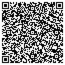 QR code with Pro Systems Corp contacts