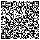 QR code with Public Racing Stable contacts