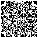QR code with Public Works Director contacts