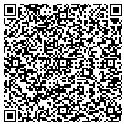 QR code with Babcock Sales & Service contacts