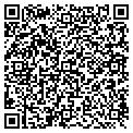 QR code with Dmgi contacts