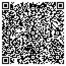 QR code with Pyramid Computer Works contacts