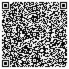 QR code with Pulaski Veterinary Clinic contacts