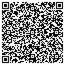 QR code with Premier Machine Works contacts