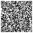 QR code with Premier Masonry contacts
