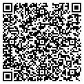 QR code with N Tech contacts