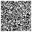 QR code with Protek International contacts