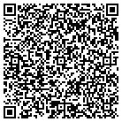 QR code with Carrafiello Diehl & Assoc contacts